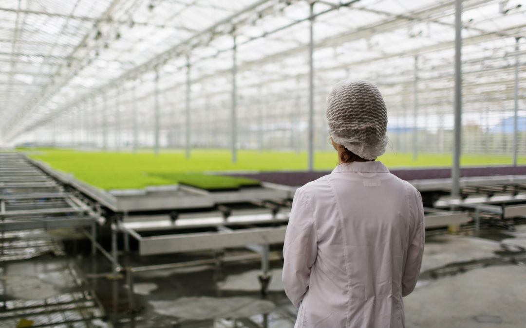 Chercheur en serre agricole problème humidité déshumidificateur CEE