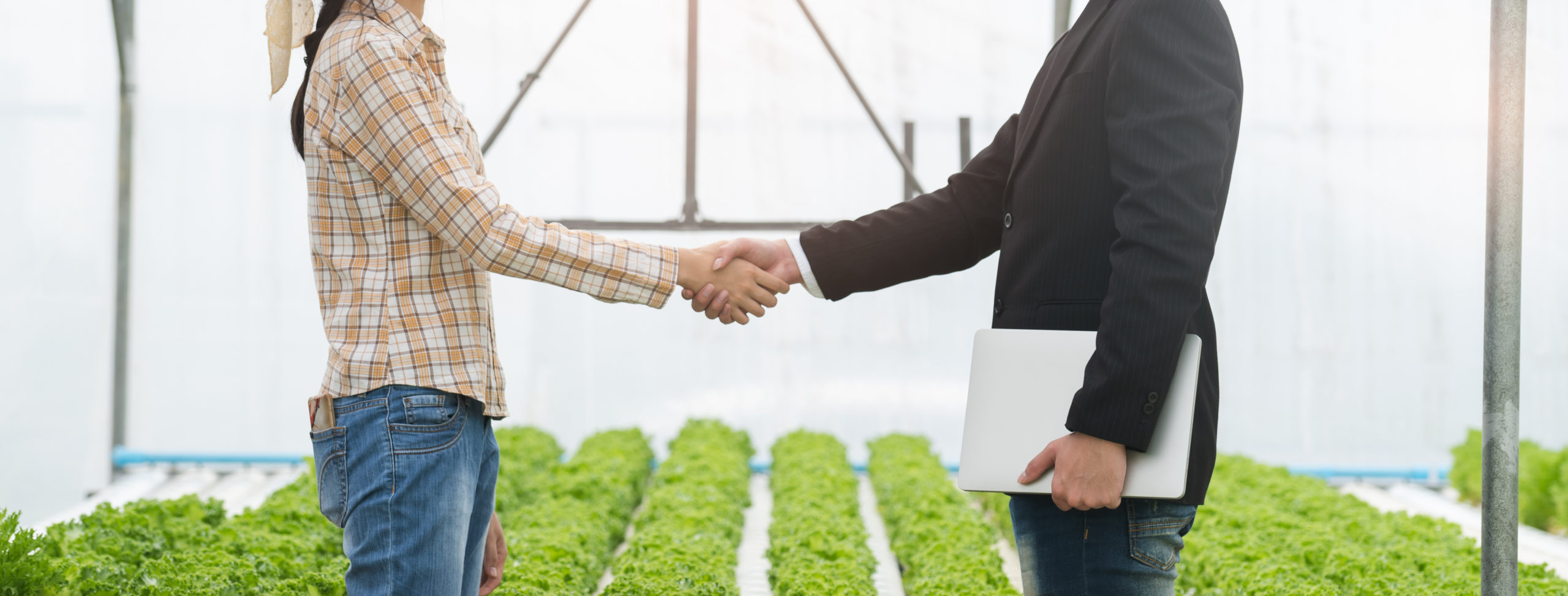 Agriculteur partenaire programme CEE ElectroGroup accompagnement