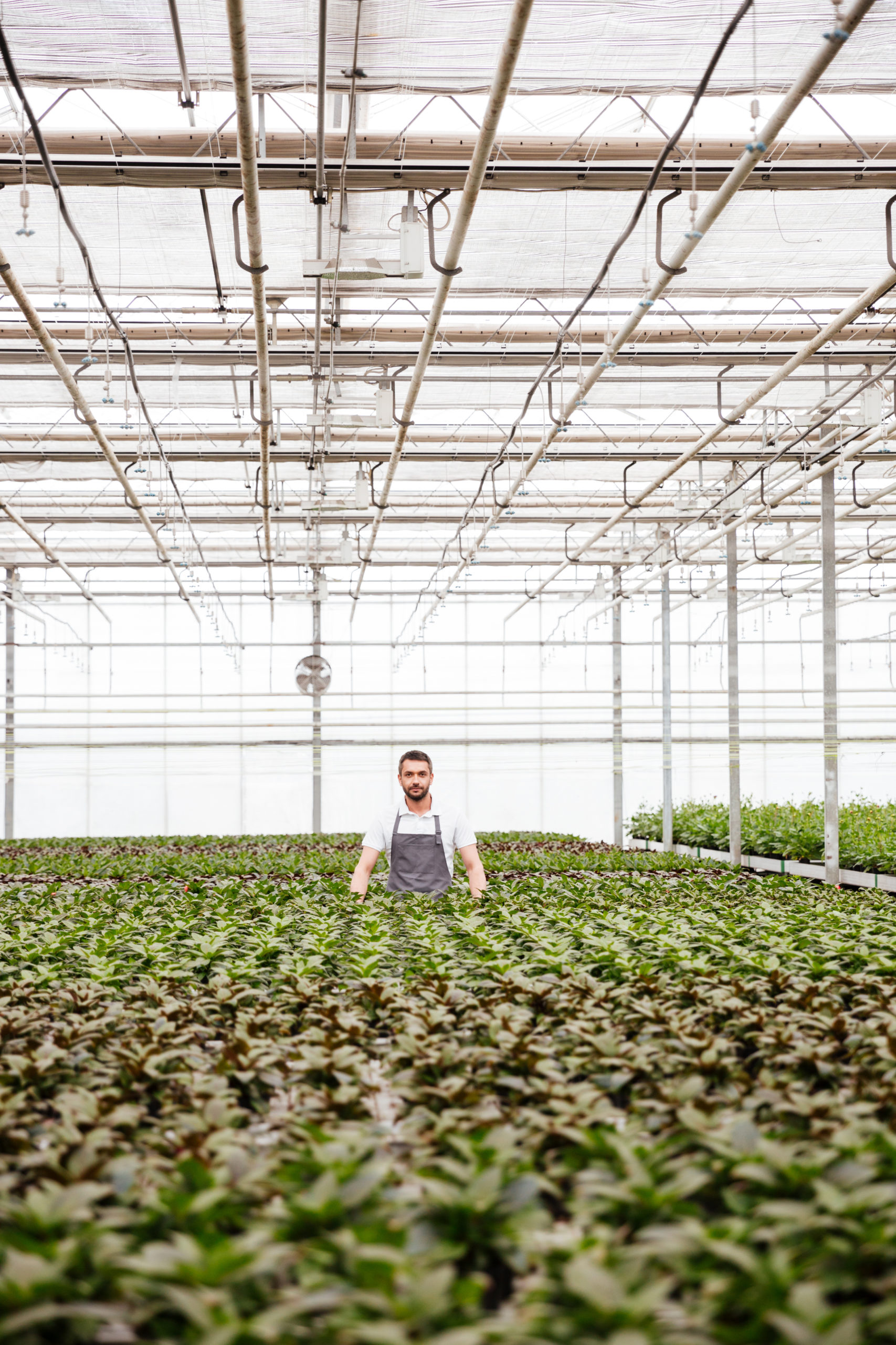 Agriculteur serre éligibilité CEE vérification programme financement