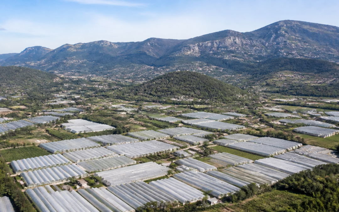 Vue aérienne de serres agricoles en Auvergne-Rhône-Alpes éligibles au financement CEE