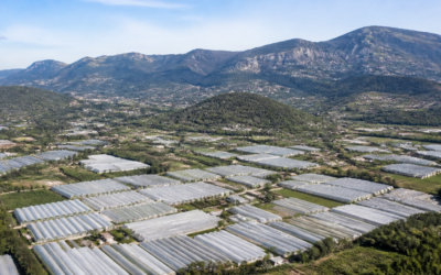 CEE en Auvergne-Rhône-Alpes : Financez VMC, Déshumidification et HP Flottante